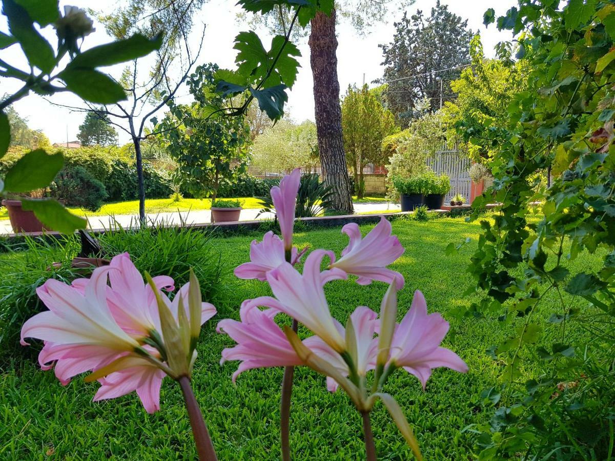 B&B Welcome Pedara Exterior foto